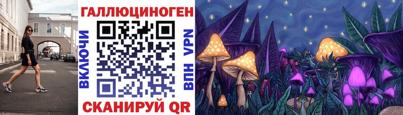 kraken tor  Вилючинск  Галлюциногенные грибы мухоморы 