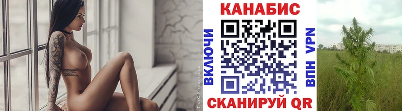 дарк нет наркотические препараты  кракен как войти  Вилючинск  Бошки марихуана OG Kush 